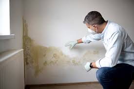 Biohazard Mold Removal in Malabar, FL